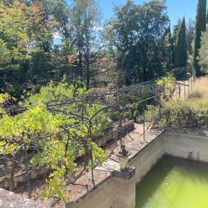 B&B / Chambres d'hotes Suite Petite -Nice - SPA-JACUZZI - MASSAGE- SAUNA - 4 SAISONS - Piscine Chauffee Toute l'annee - POOL VIEW- Heated Pool 800m city centre Nyons : photos des chambres