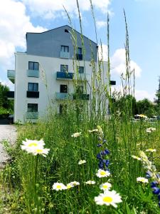 Štúdio Bernard 1.10