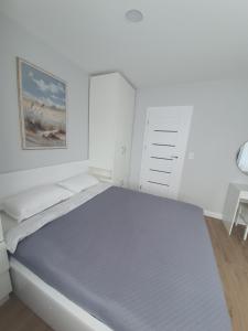 Central Apartment III