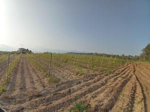 CASA RURALE IMPASTATO