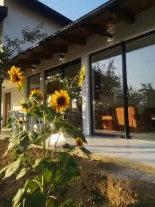 Villa Alfareed فيلا الفريد سراييفو - Markovići