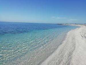 Casa Cla Design Home img22