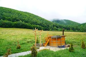 Pensiunea Natura Sadu