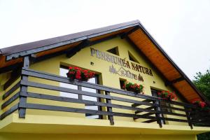 Pensiunea Natura Sadu