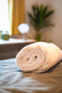 3-Bedroom Stylish Luxury House in Southampton with Garden & Parking, Close to City Centre by Blue Puffin Stays