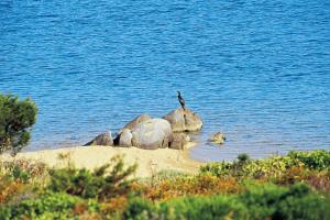 iGV Club Santaclara img9