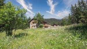 Chalet Le Plaigny - golf de Méribel