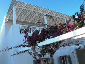 Milos Bay Suites Milos Greece