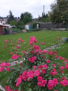 Sejours chez l'habitant Au Gres du Vent : Chambre Deluxe (2 Adultes + 1 Enfant)