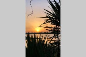 Apartamento Las Dunas