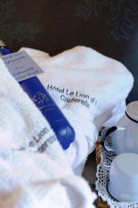 Hotels Hotel du Lion d'Or : photos des chambres