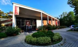 维若尼卡酒店 - 米什科尔茨