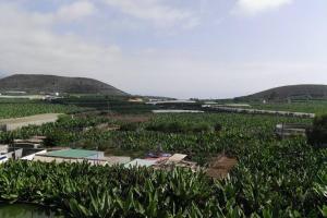 Bonito y amplio piso en Los LLanos de Aridane