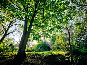 Maisons d'hotes Au Bonheur Nomade : Chambre Familiale - Vue sur Jardin