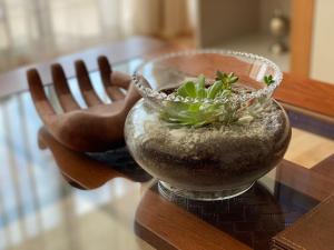 Departamento Céntrico Full equipado