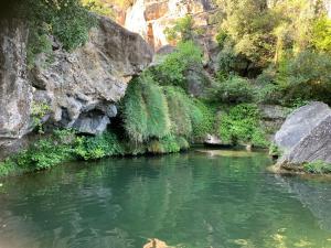 Appartements Les clapiers appartement avec jacuzzi et riviere. : photos des chambres