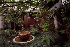 Hotel Ines Maria