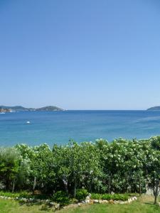 Aphrodite Studios Skiathos Greece