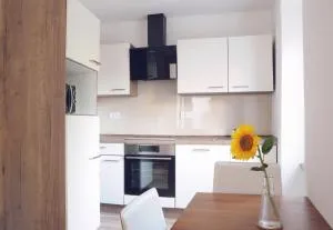 APARTMA KMETIJA ROVAN - 维帕瓦