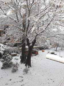 Jasmine appart Metro station, 2BDR, FREE Parking