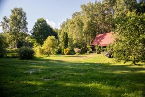 Klimatyczny domek blisko natury na Podlasiu - Wysokie Laski 9!