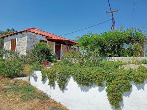 Seaside Villa Eleni