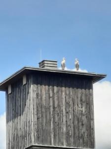 Ferienwohnung am Schloss