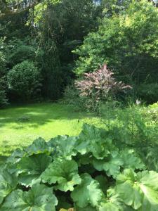 Sejours chez l'habitant Un coin de foret : photos des chambres