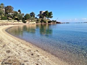 Appartamenti Le Mimose img14