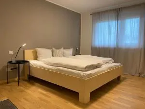 WOHNUNG ERDGESCHOSS mit 3 Schlafzimmer in ruhiger Gegend - Kriessern