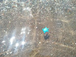 ΠΕΝΝΥ ΚΑΝΤΙΑ 1ος Ν 2