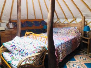 Cotswolds Camping at Holycombe