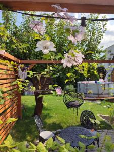 Lawendowo- sauna, jacuzzi, domki w ogrodzie i apartamenty w kamienicy