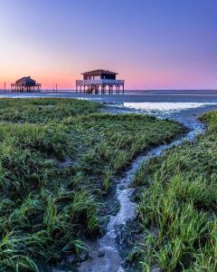 Appartements Au coeur du Bassin d'Arcachon,tres bel appartement avec terrasse : photos des chambres