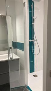 Appartements Au coeur du Bassin d'Arcachon,tres bel appartement avec terrasse : photos des chambres