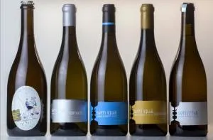 Casa da Portela - Sem Igual - Ataíde