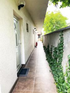 Hotel Guesthouse Stari Jasen