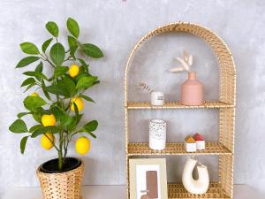 Book Tea Bed SHINJUKU-GYOEN