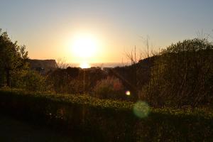 La Maison de la Rose