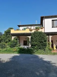 Le camelie - Polverara