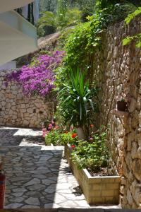 Althea Studios Lefkada Greece