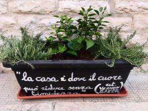 ROBERTOs Guest House