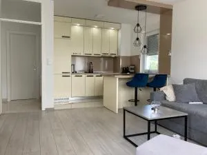 Slijepcevic - Mračaj