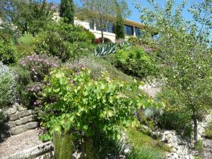 Maisons de vacances Le Mille Fleurs : photos des chambres