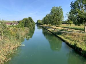 Appartements Champagne & Grand Cru : photos des chambres