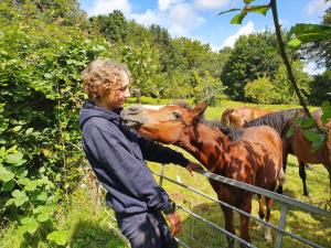 B&B / Chambres d'hotes Ferme equestre Gateau Stables : photos des chambres