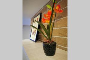 Apartamento exclusivo en Manizales-Gran ubicación!