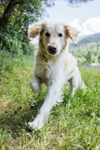 Landgasthof Zum Hammerschmied