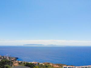 Flowers island house 3