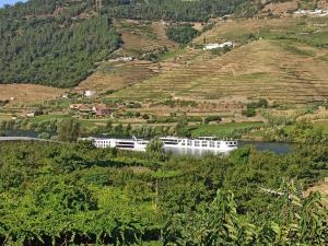 Vineyards Valley House